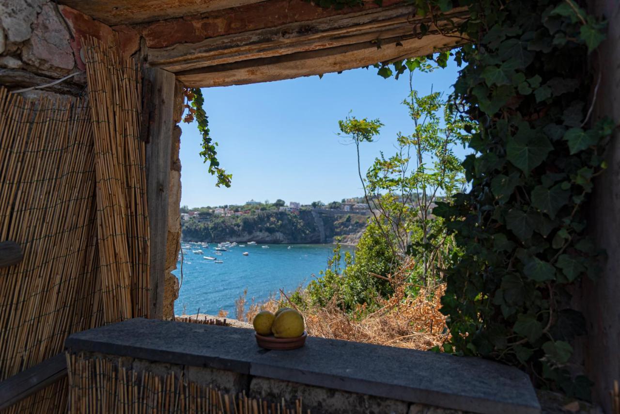 La Poetica In Villa Eldorado Προτσίντα Εξωτερικό φωτογραφία
